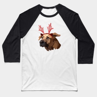 Polygon Xmas Dog Baseball T-Shirt